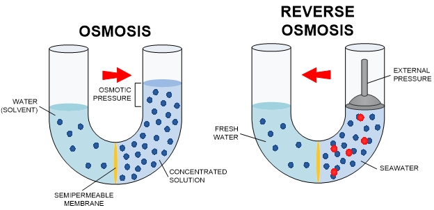 Water Chemistry: Beans, Beer, and Boilers