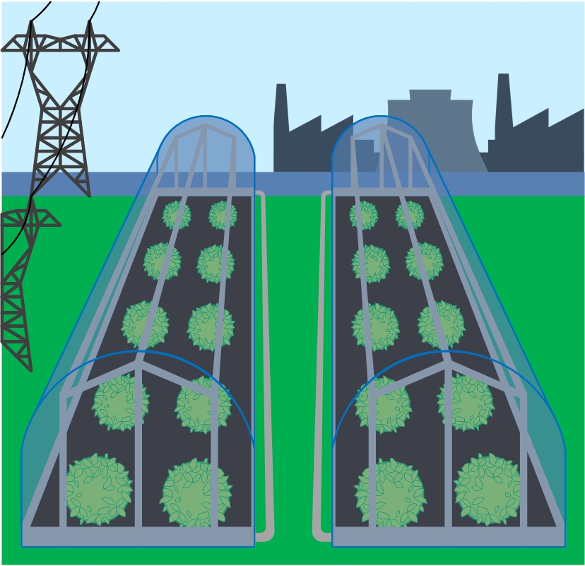 CO2 Capture – Post-Combustion (Part 2)