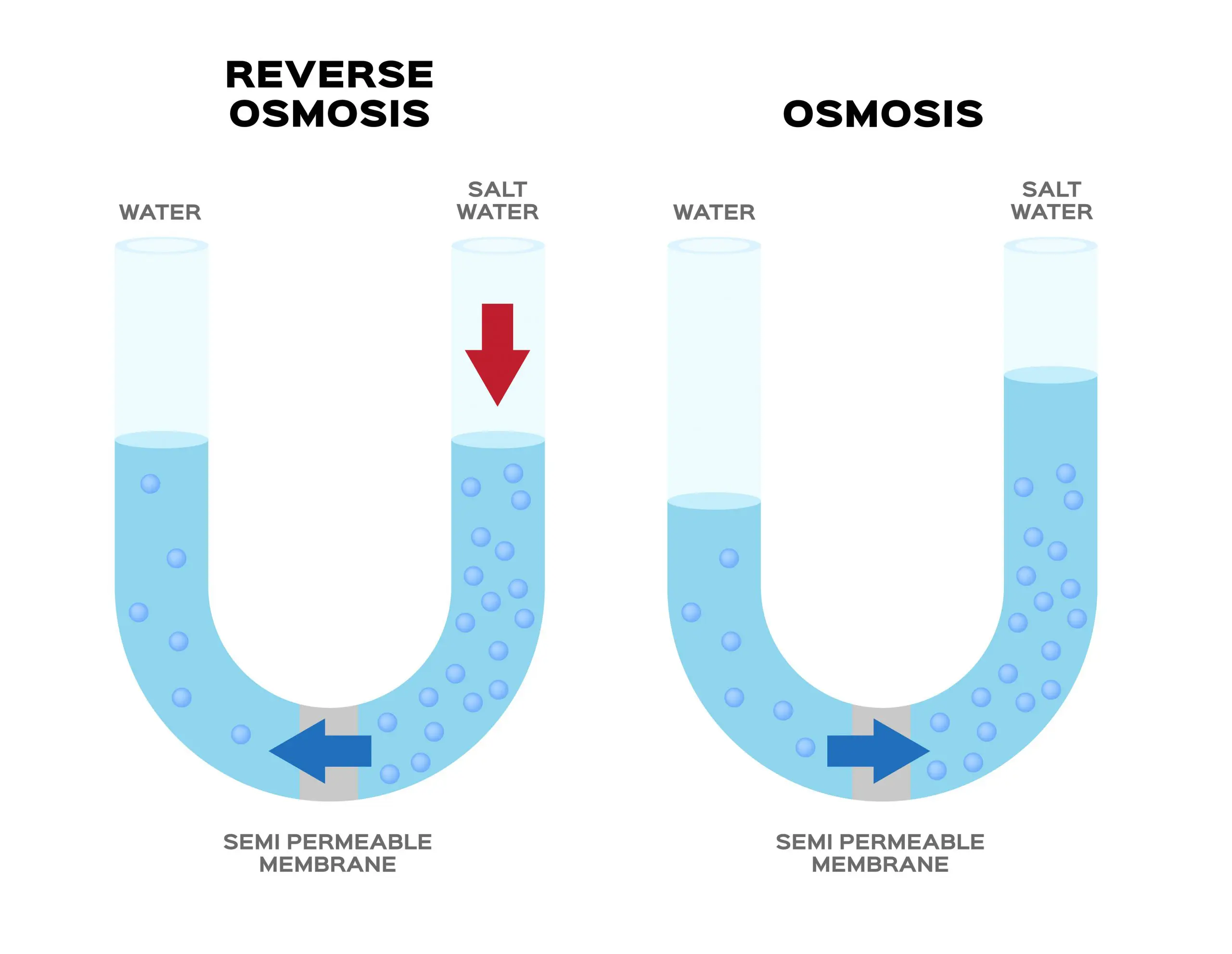 Reverse Osmosis - an overview